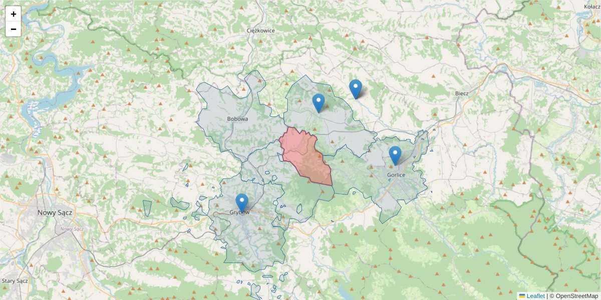 Szczegółowa mapa kodu pocztowego 38-331 z granicami, sąsiednimi kodami pocztowymi i urzędami pocztowymi
