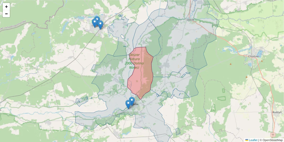 Szczegółowa mapa kodu pocztowego 64-704 z granicami, sąsiednimi kodami pocztowymi i urzędami pocztowymi